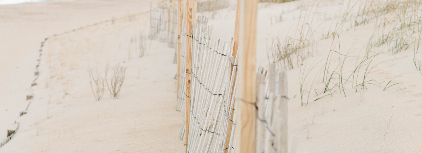 A Day at the Beach | Virginia Beach